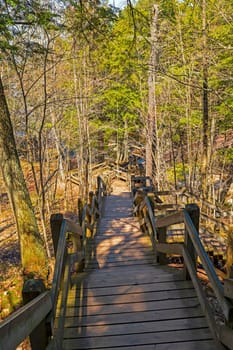 Stairway on a Forest Trail in Porcupine Mountains State Park in Michigan