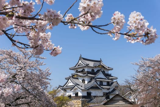 Hikone Castle was completed in 1622. It is an original castle, survived the post feudal era without undergoing destruction and reconstruction. Besides the castle's main keep, most of the inner moats, walls, guard houses and gates also remain intact.