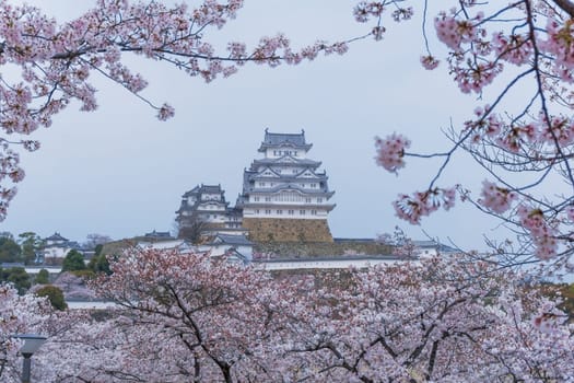 Himeji Castle known as White Heron Castle due to its elegant, white appearance. The castle is both a national treasure and a world heritage site. Unlike many other Japanese castles, it was never destroyed by war, earthquake or fire and survives to this day as one of the country's twelve original castles.