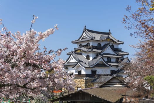 Hikone Castle was completed in 1622. It is an original castle, survived the post feudal era without undergoing destruction and reconstruction. Besides the castle's main keep, most of the inner moats, walls, guard houses and gates also remain intact.