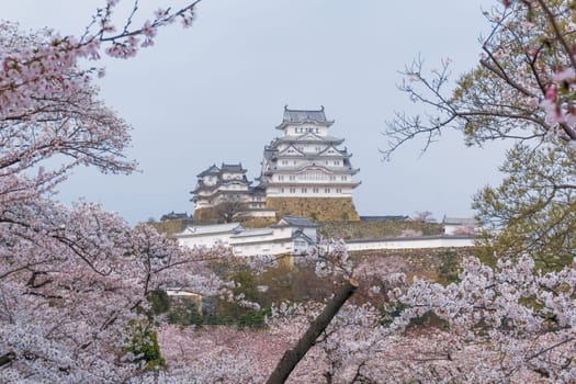 Himeji Castle known as White Heron Castle due to its elegant, white appearance. The castle is both a national treasure and a world heritage site. Unlike many other Japanese castles, it was never destroyed by war, earthquake or fire and survives to this day as one of the country's twelve original castles.