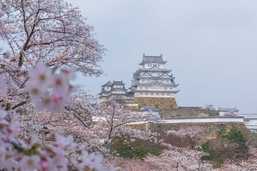 Himeji Castle known as White Heron Castle due to its elegant, white appearance. The castle is both a national treasure and a world heritage site. Unlike many other Japanese castles, it was never destroyed by war, earthquake or fire and survives to this day as one of the country's twelve original castles.