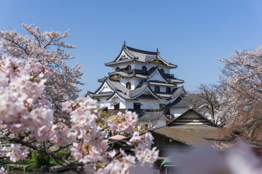 Hikone Castle was completed in 1622. It is an original castle, survived the post feudal era without undergoing destruction and reconstruction. Besides the castle's main keep, most of the inner moats, walls, guard houses and gates also remain intact.