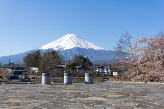 Northern Shores of Kawaguchiko where cherry trees are planted for 1.2km along the lake and Chureito Pagoda are the most scenic views can be captured cherry blossoms and Mt.Fuji.