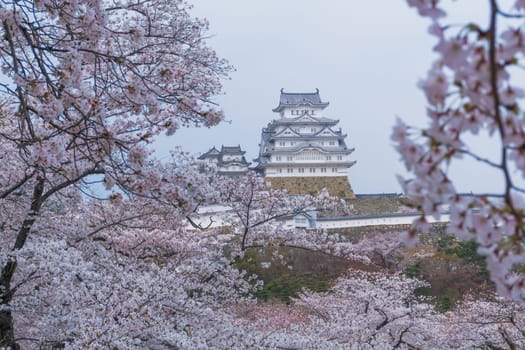 Himeji Castle known as White Heron Castle due to its elegant, white appearance. The castle is both a national treasure and a world heritage site. Unlike many other Japanese castles, it was never destroyed by war, earthquake or fire and survives to this day as one of the country's twelve original castles.