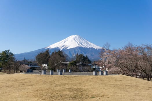 Northern Shores of Kawaguchiko where cherry trees are planted for 1.2km along the lake and Chureito Pagoda are the most scenic views can be captured cherry blossoms and Mt.Fuji.
