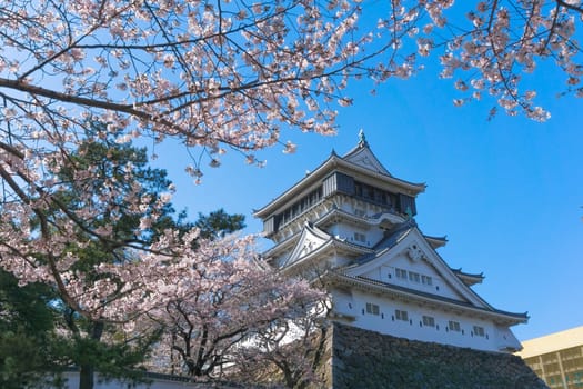The Kokura castle grounds are now known as Katsuyama Park and are a popular cherry blossom. It was built in 1602 at the beginning of the Edo Period.
