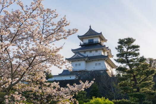 Kakegawa Castle is in Kakegawa City, Shizuoka Prefecture.It is located on a small hill, a 15-minute walk north of JR Kakegawa Station. It was first built by Asahina Yasuhiro in 1513.