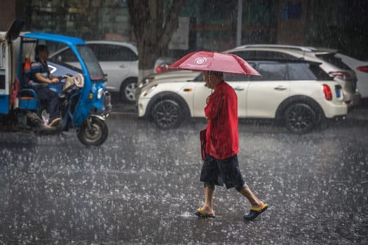Chengdu, China - July  2019 : Chinese man with red umbrella crossingthe road during tropical monsoon rain in Chengdu, Sichuan province
