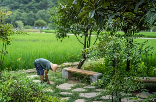 Wullingyuan, China -  August 2019 : Chinese man working on the path clearing weeds with ricefield in the background, Huanglong Yellow Dragon Cave scenic area, Hunan Province
