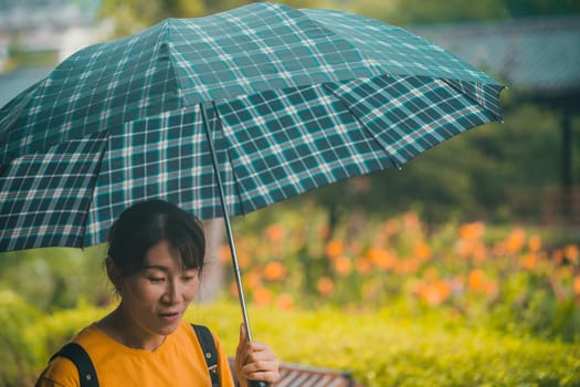 Wullingyuan, China -  July 2019 : Middle aged Chinese woman walking with an umbrella during tropical monsoon rain