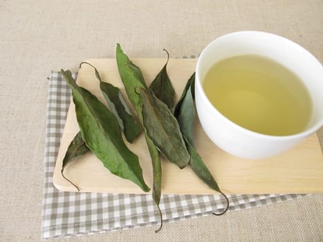 A Cup of avocado leaf tea, tea with dried avocado leaves