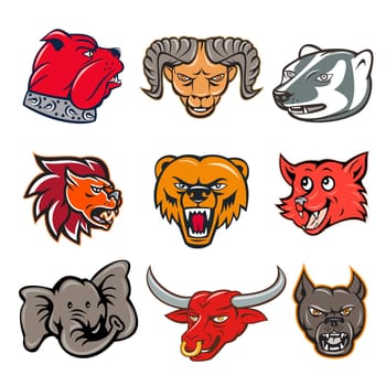 Set or collection of cartoon character mascot style illustration of head of animal wildlife like bulldog, ram, badger, lion, bear, fox, elephant, texas longhorn bull and pitbull dog on isolated white background.