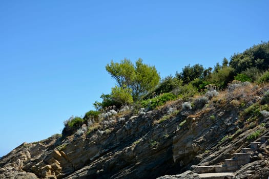 Rocks and vegetation on the coast of southern France, Côte d'Azur, with blue sky and copy space