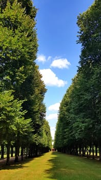 Ansbach is a city in Bavaria, Hofgarten