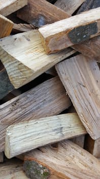 Firewood ready to heat in the oven
