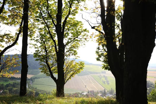 Vineyards near Castell in Lower Franconia
