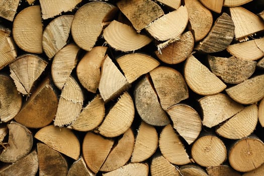 Firewood ready to heat in the oven