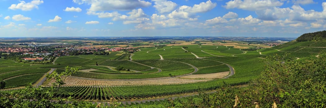 Landscape at Iphofen in Bavaria
