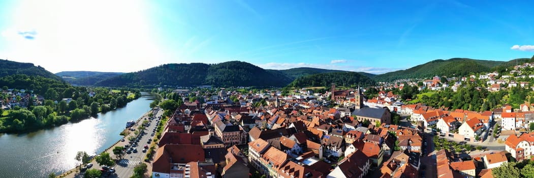 Eberbach am Neckar from above