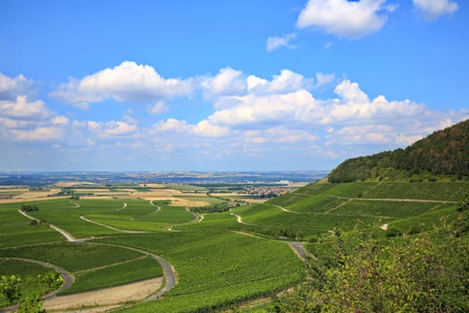 Landscape at Iphofen in Bavaria
