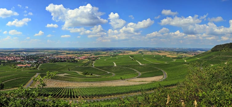 Landscape at Iphofen in Bavaria