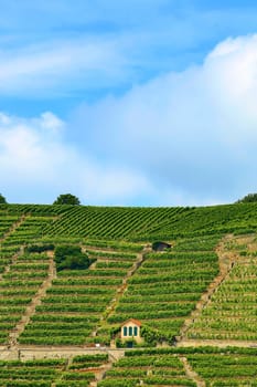 Mundelsheim am Neckar a wine region near Stuttgart