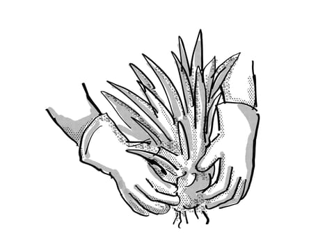 Retro cartoon style drawing of a gardener hand planting a plant on isolated white background done in black and white
