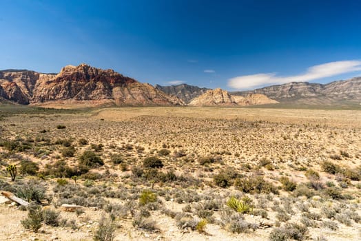 Red Rock Canyon National Conservation Area in Las Vegas Nevada USA