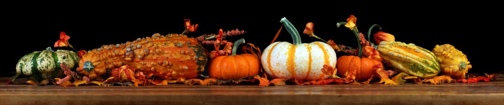 Autumn pumpkins background