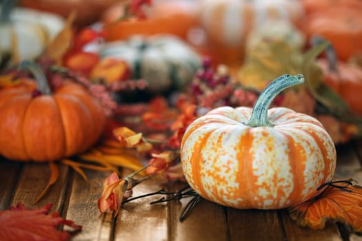 Autumn pumpkins background
