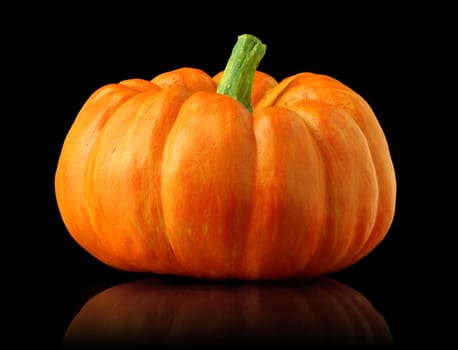 Single orange pumpkin isolated on black