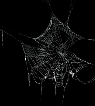 Real frost covered spider web isolated on black