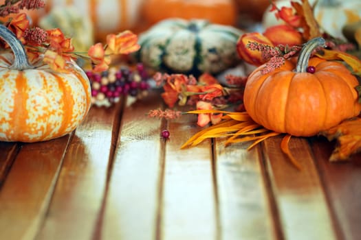 Autumn pumpkins background