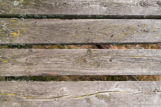 Old rotten wooden boards overgrown with moss as background