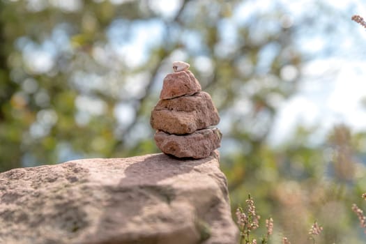 Signpost of sandstones placed on the forest floor with pine needles and moss against a blurred background