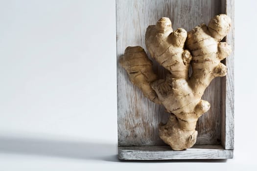 Ginger,Studio