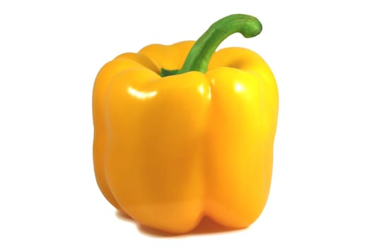 The close up picture of isolated paprica over white