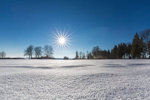 Bright sunshine and blue skies on a cold day in the snowy Black Forest.