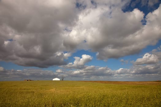 typical country house in a green field of Alentejo Portugal