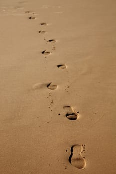 human footprints in the wet sand