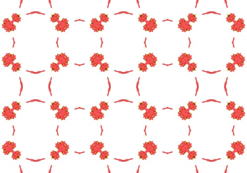 Ethnic pattern. Abstract kaleidoscope fabric design texture