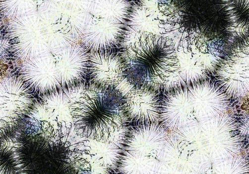 Ethnic pattern. Abstract kaleidoscope fabric design texture