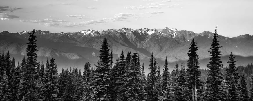 Part of Olympic National Park the sun begins to hit Hurricane Ridge