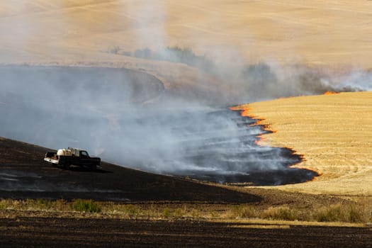 Farmers do a controlled burn before plowing after harvest