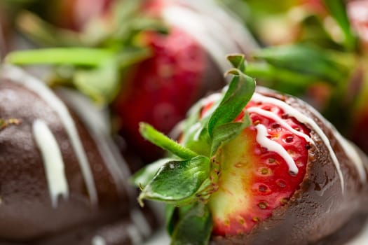 chocolate dipped strawberries