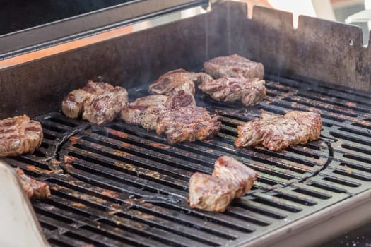 Delicious BBQ from beef pork turkey or chicken meat. Perfectly grilled tender succulent marinated steak group for traditional dinner.
