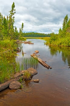 Calm inlet onto a Wilderness Lake in the Boundary Waters Canoe Area in Minnesota