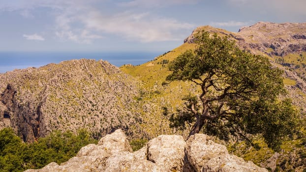 Beautiful northern coastline of Mallorca island with mountains on the coast, road trip, blue sky with nice clouds in background, Formentor, Spain
