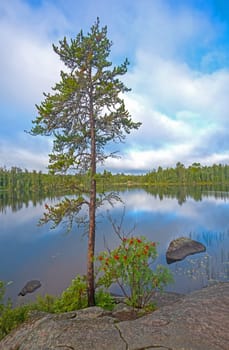 Rocky Viewpoint on a Wilderness Lake on Cross Bay Lake in the Boundary Waters in Minnesota